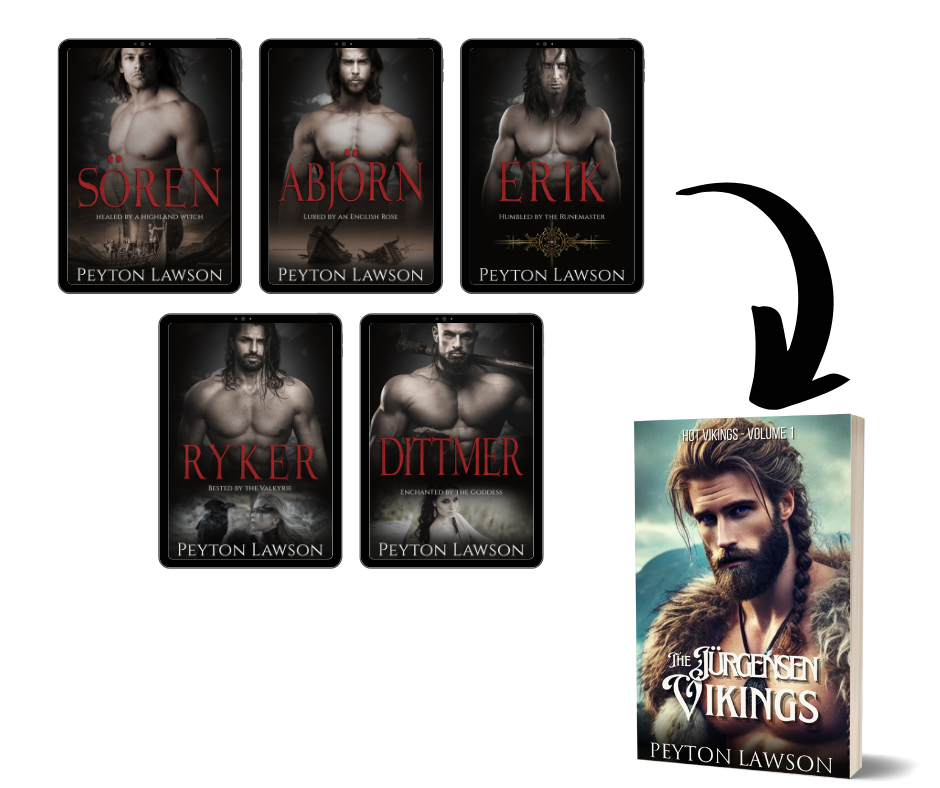 The Jürgensen Vikings (Hot Vikings - Volume 1) - Paperback - Beaches and Trails Publishing