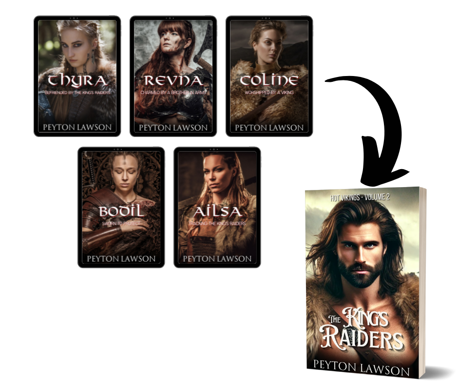 The King's Raiders (Hot Vikings - Volume 2) - Paperback - Beaches and Trails Publishing