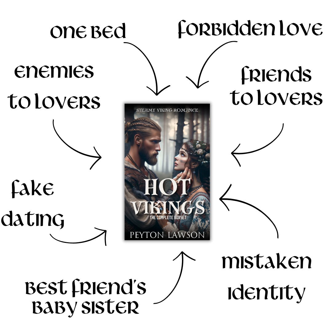 The King's Raiders (Hot Vikings - Volume 2) - Paperback - Beaches and Trails Publishing