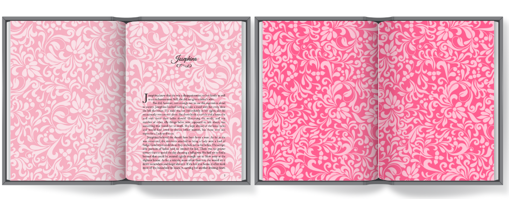 The Lady Series - Signed Collector's Edition - Volume 1 - Deluxe Hardcover - Beaches and Trails Publishing