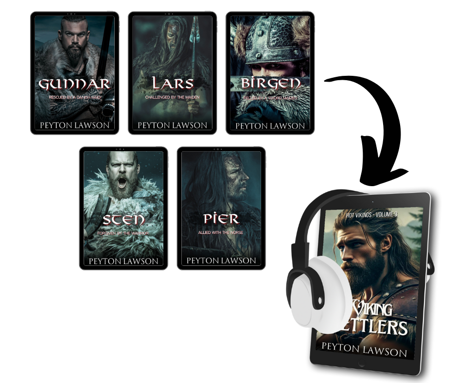 The Viking Settlers (Hot Vikings - Volume 3) - Audiobook - Beaches and Trails Publishing