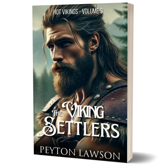 The Viking Settlers (Hot Vikings - Volume 3) - Paperback - Beaches and Trails Publishing
