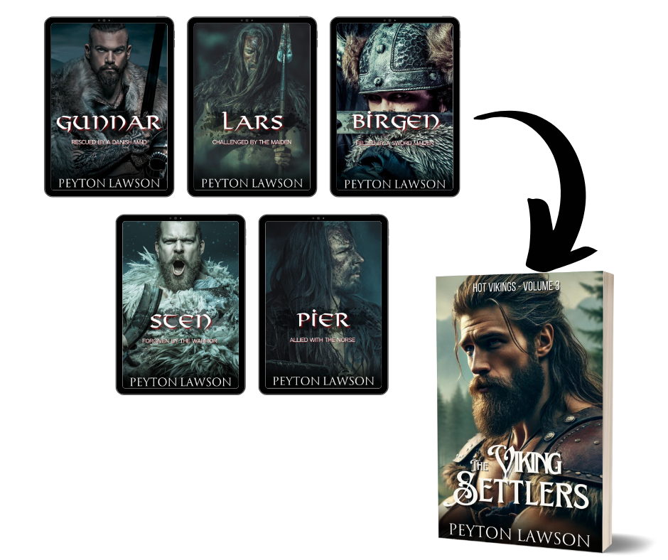 The Viking Settlers (Hot Vikings - Volume 3) - Paperback - Beaches and Trails Publishing