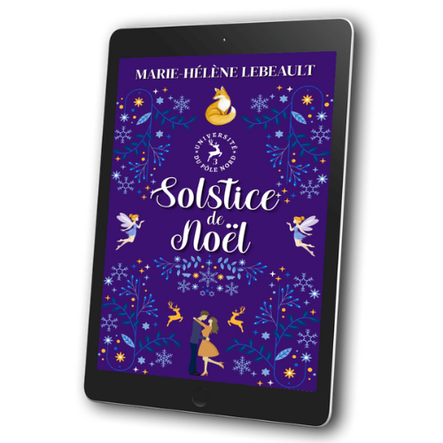 Solstice de Noël - Numérique