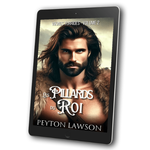 Les pillards du roi (Vikings torrides #2) - ebook
