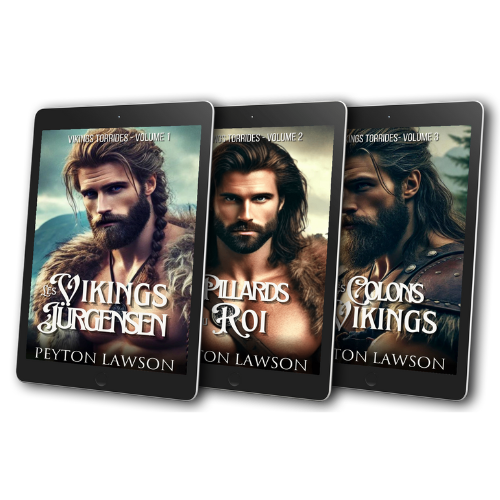 Vikings torrides - La série complète - Numérique