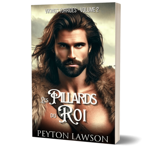 Les pillards du roi (Vikings torrides #2) - Broché