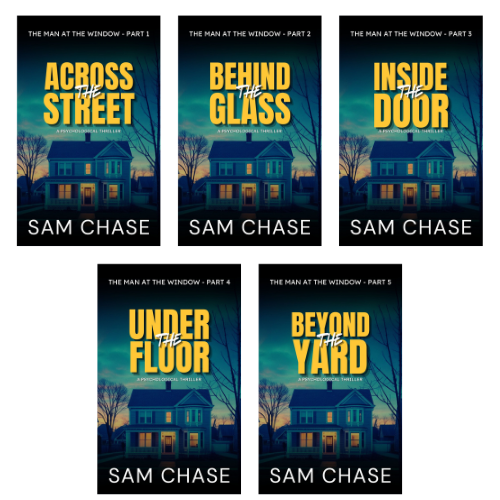 The Man at the Window - ebook