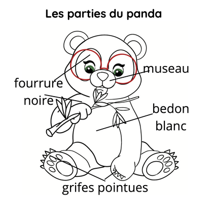 Livre à colorier - Fée grand-mère - Mimi visite la Chine  - Broché