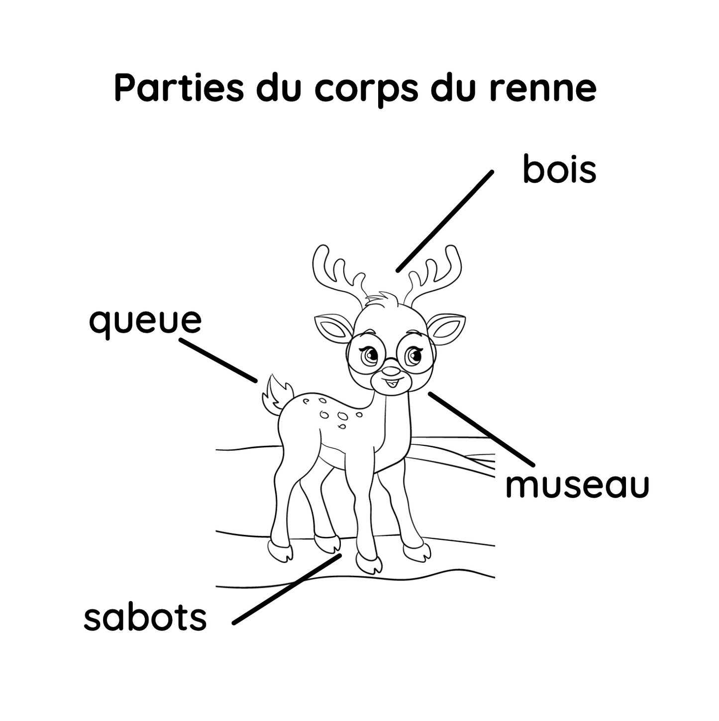 Livre à colorier - Fée grand-mère - Mimi visite le Pôle Nord  - Broché