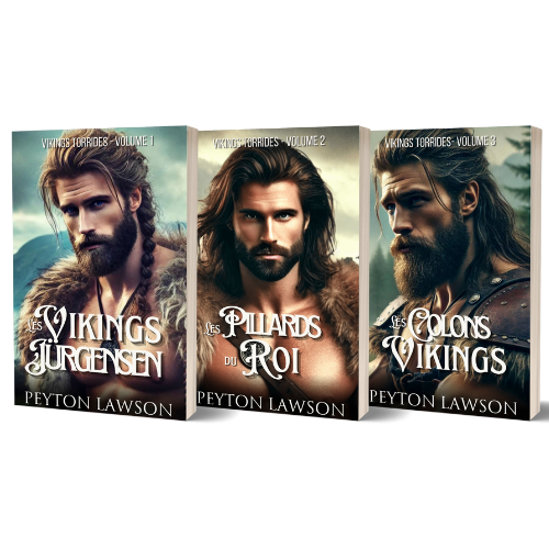 Vikings torrides - La série complète - Brochés