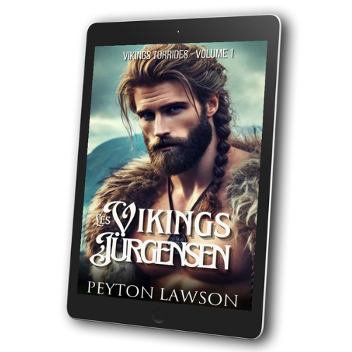 Les vikings Jürgensen (Vikings torrides #1) - ebook