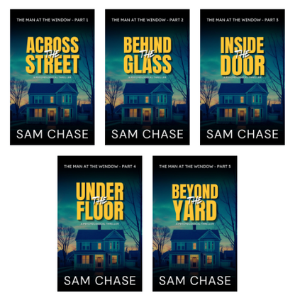 The Man at the Window - ebook